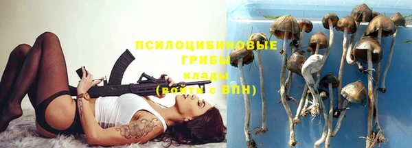 МДПВ Лагань