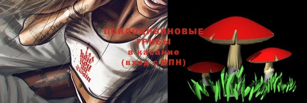 амфетамин Лабытнанги