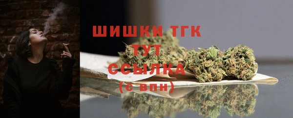 скорость Ладушкин