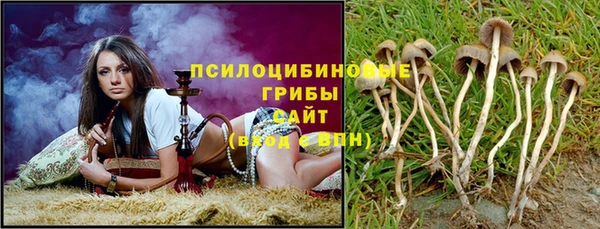амфетамин Лабытнанги