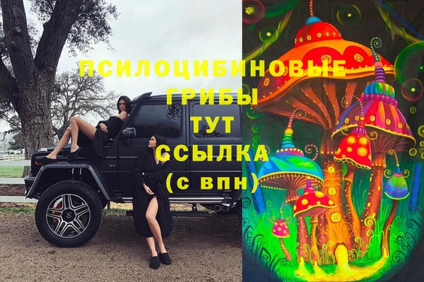 скорость Ладушкин