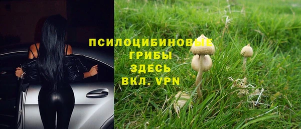 амфетамин Лабытнанги