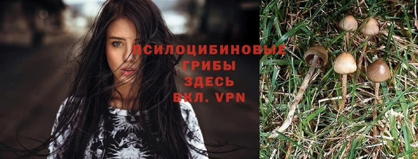 амфетамин Лабытнанги