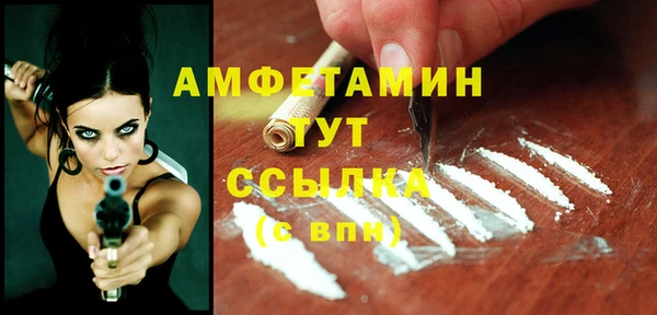 МДПВ Лагань