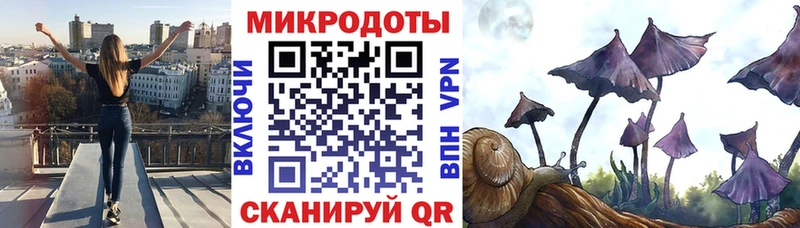 Псилоцибиновые грибы Psilocybine cubensis  Купить где  Сыктывкар 